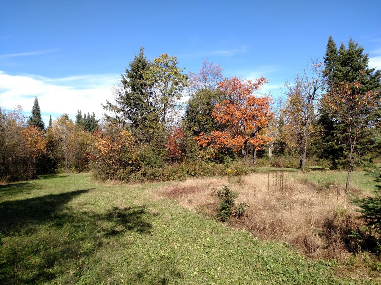 7123 Fadness Road Winter, WI 54896 - Photo 21 of 43 Gallery Image 21