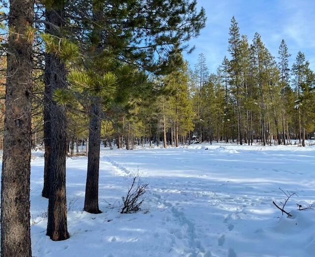 10215 Split Rail Road La Pine, OR 97739 - Photo 14 of 18 Back Yard