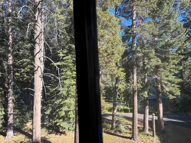 a view of a tree in front of a house