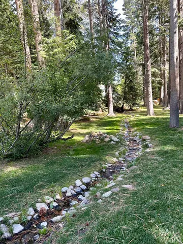 a view of a grassy field with trees