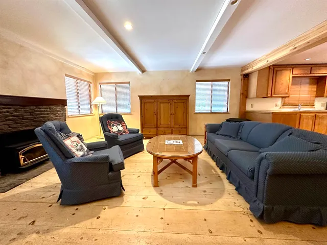 a living room with furniture window and a fireplace