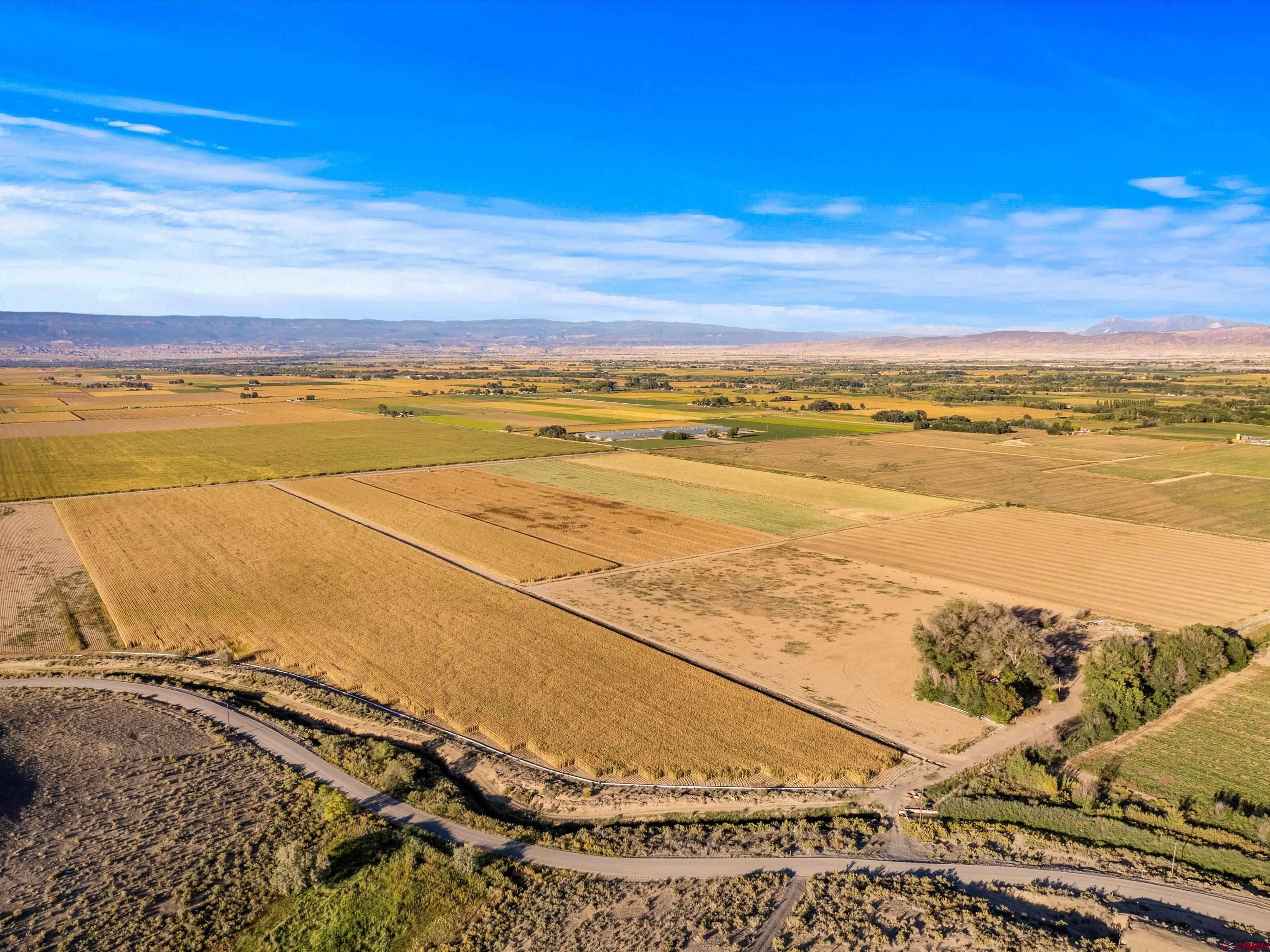 6530 5400th Road Olathe, CO 81425 - Photo 4 of 30 Gallery Image 4