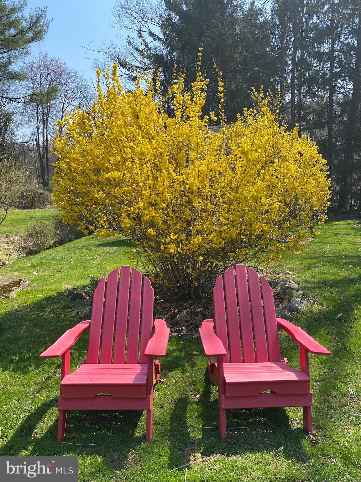 3502 Caley Road Newtown Square, PA 19073 - Photo 46 of 56