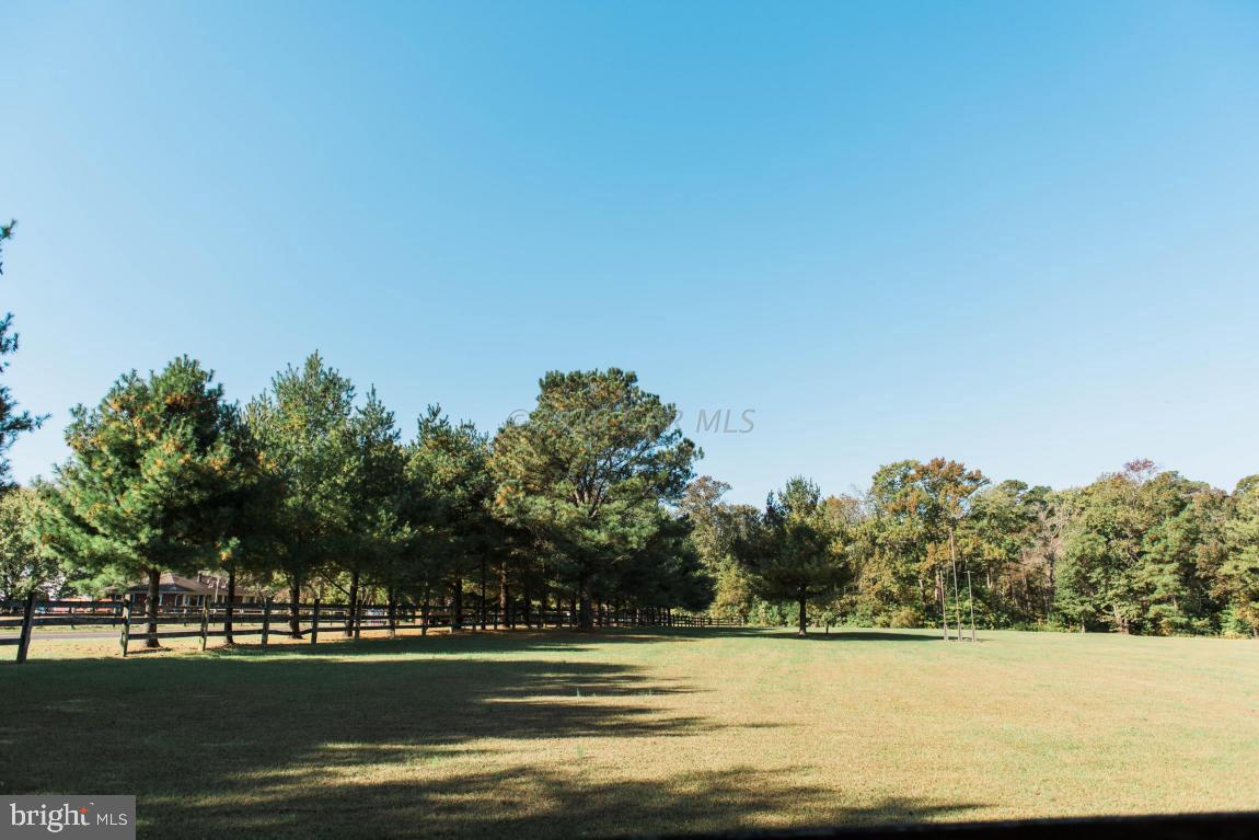 27000 Riverside Drive Salisbury, MD 21801 - Photo 5 of 49 Gallery Image 5