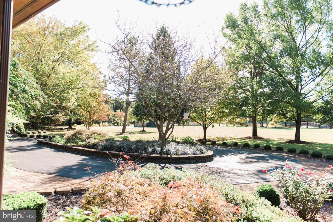 27000 Riverside Drive Salisbury, MD 21801 - Photo 47 of 49 Gallery Image 47