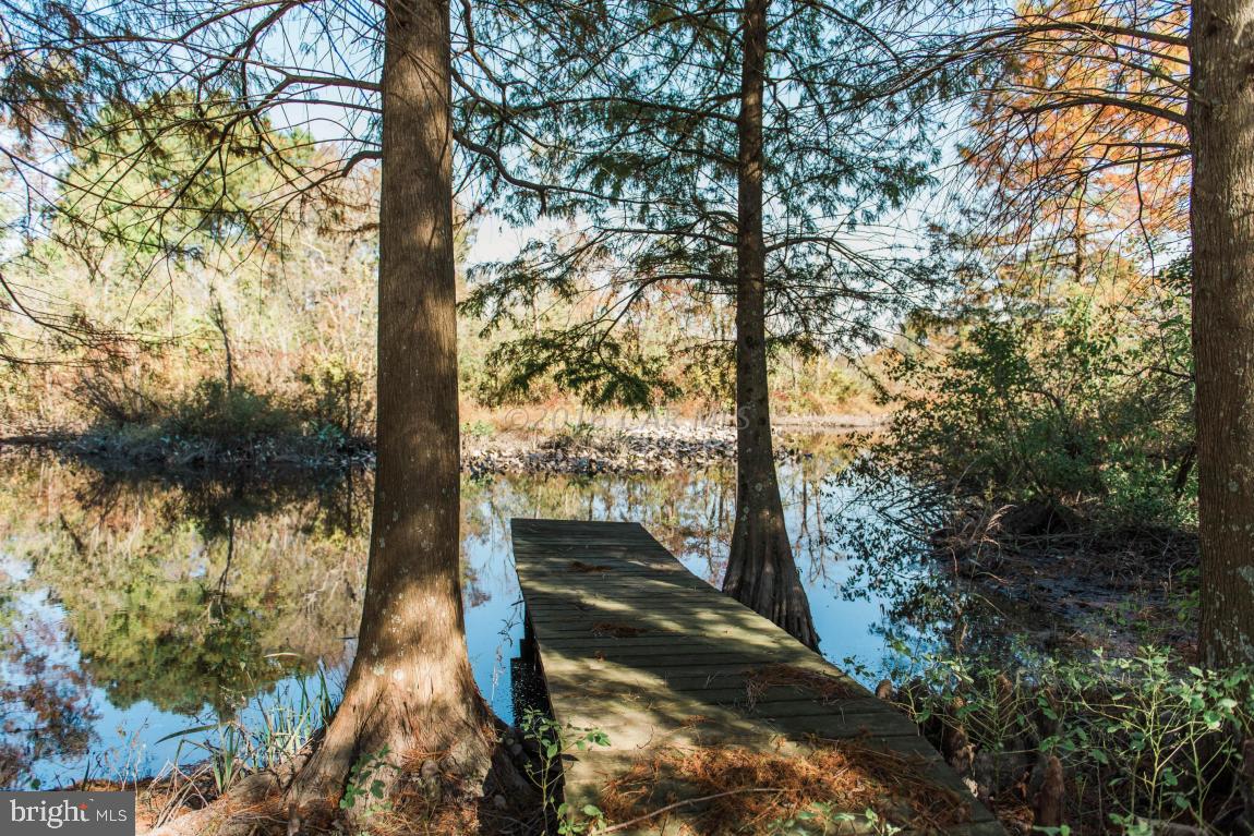 27000 Riverside Drive Salisbury, MD 21801 - Photo 9 of 49 Gallery Image 9