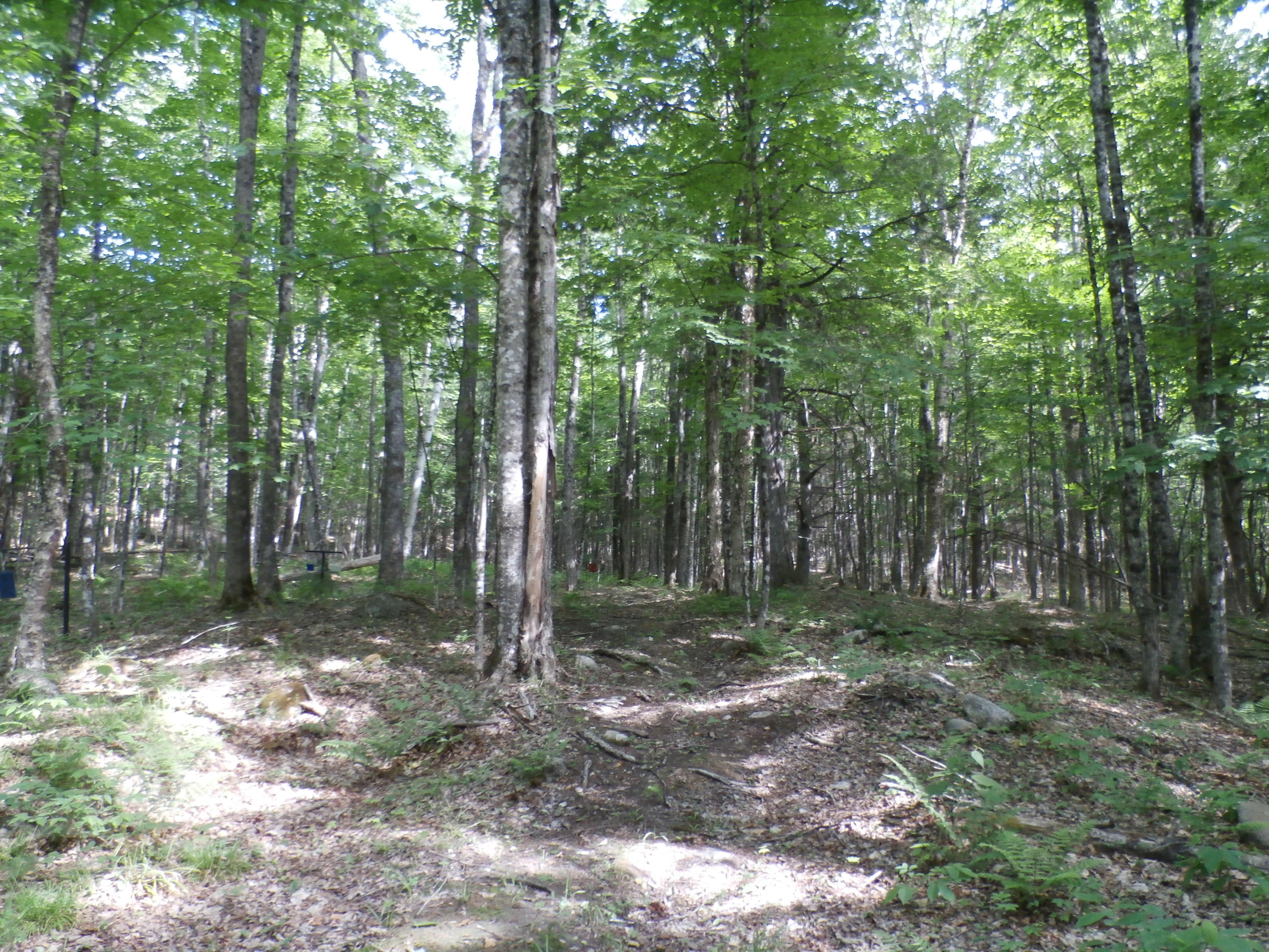 1-a-2 Webb River Acres Road Carthage, ME 04224 - Photo 30 of 54 P6180937