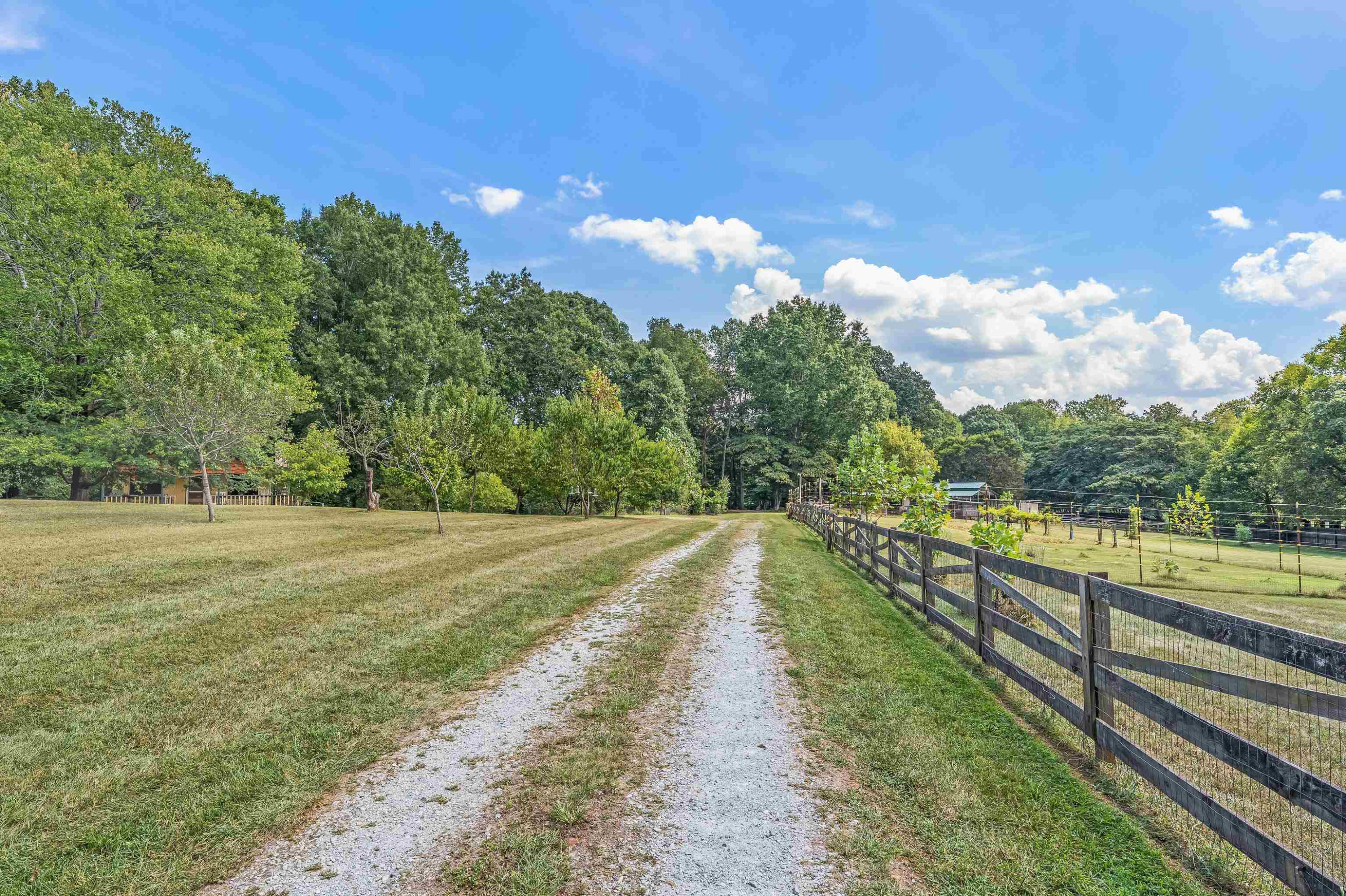 1907 Old Red Mountain Road Rougemont, NC 27572 - Photo 3 of 50 Photo 4