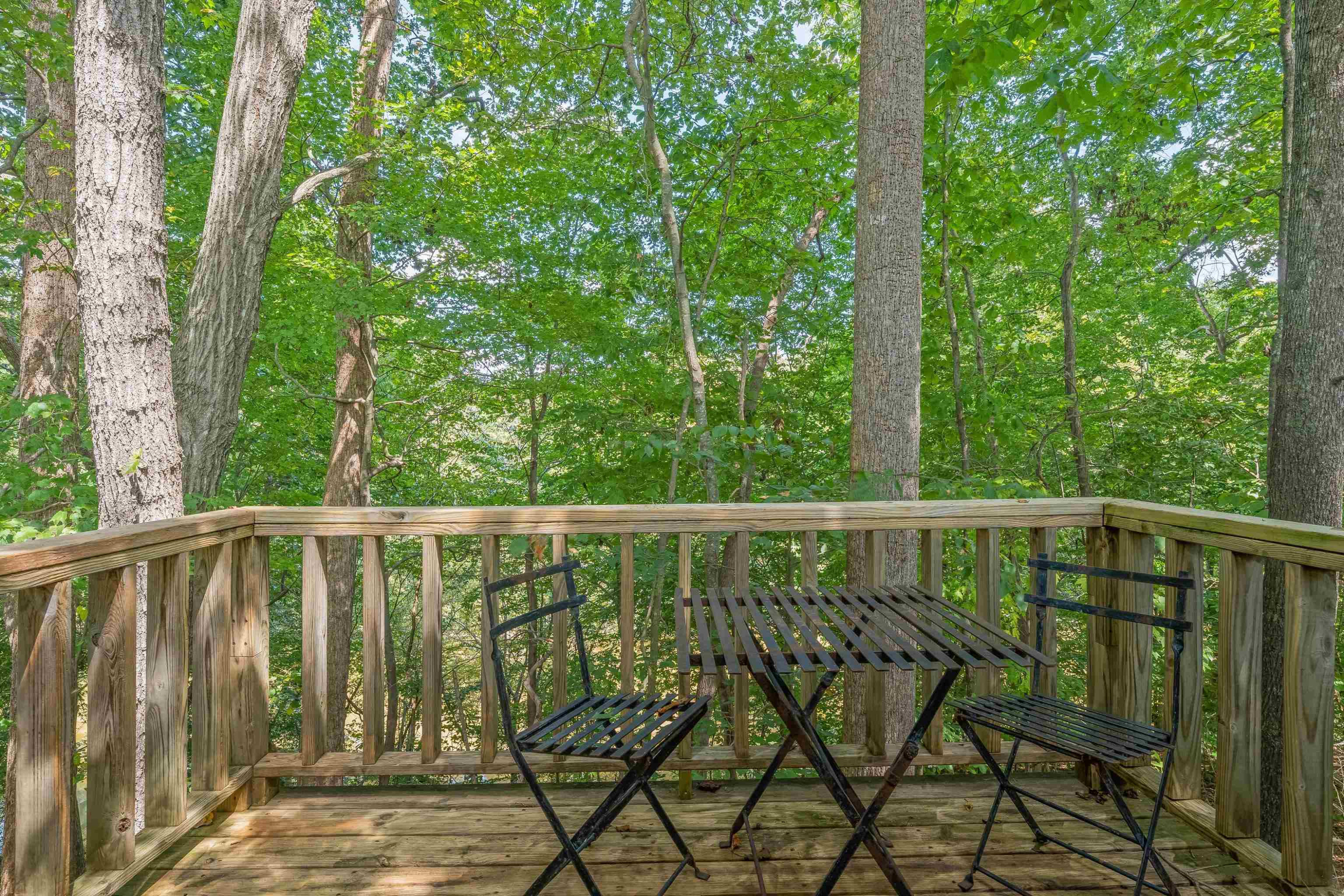 1907 Old Red Mountain Road Rougemont, NC 27572 - Photo 36 of 50 Photo 37