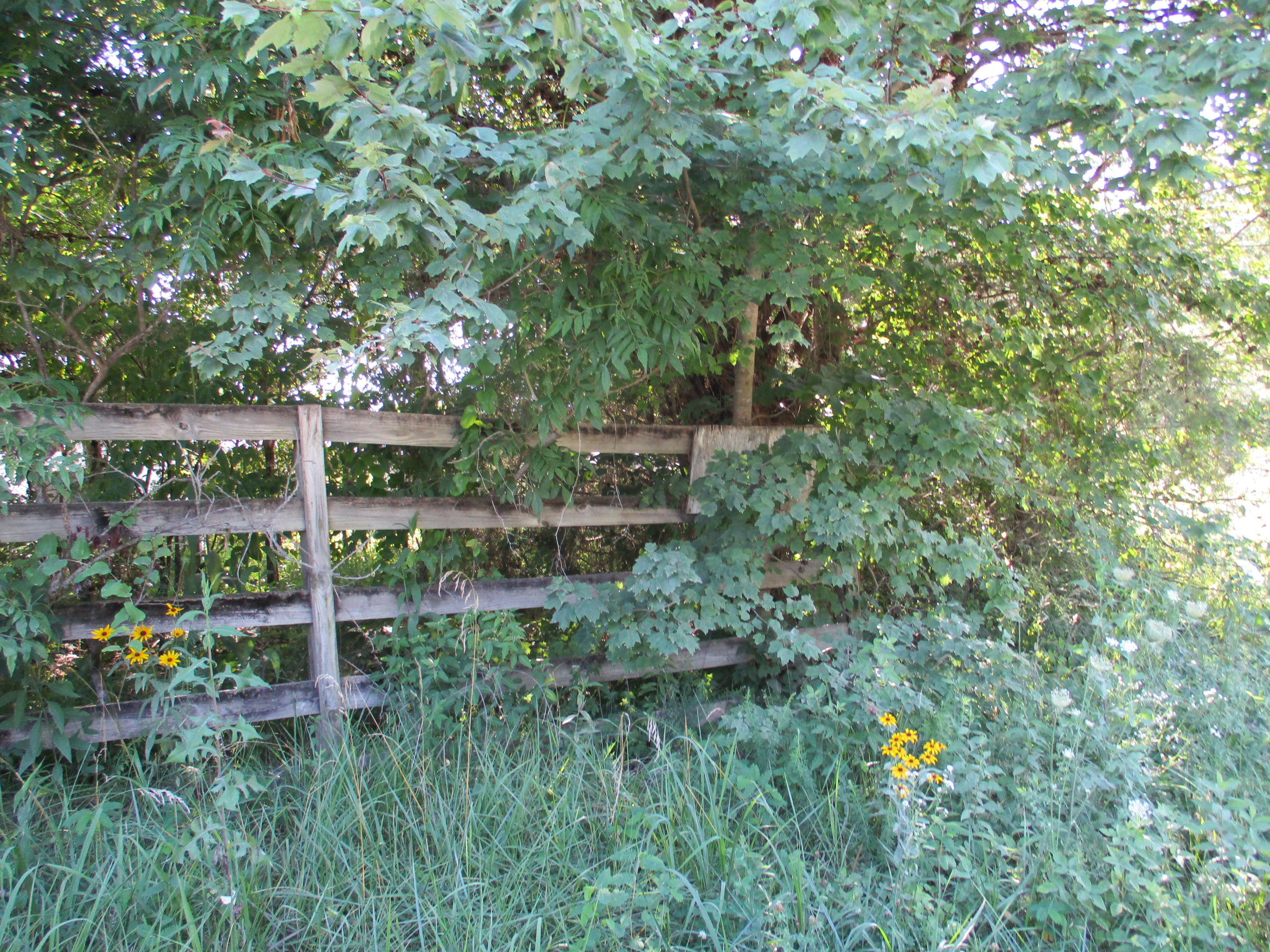 9 Cedar Road, Unit 20 Pikeville, TN 37367 - Photo 4 of 18 IMG_0356