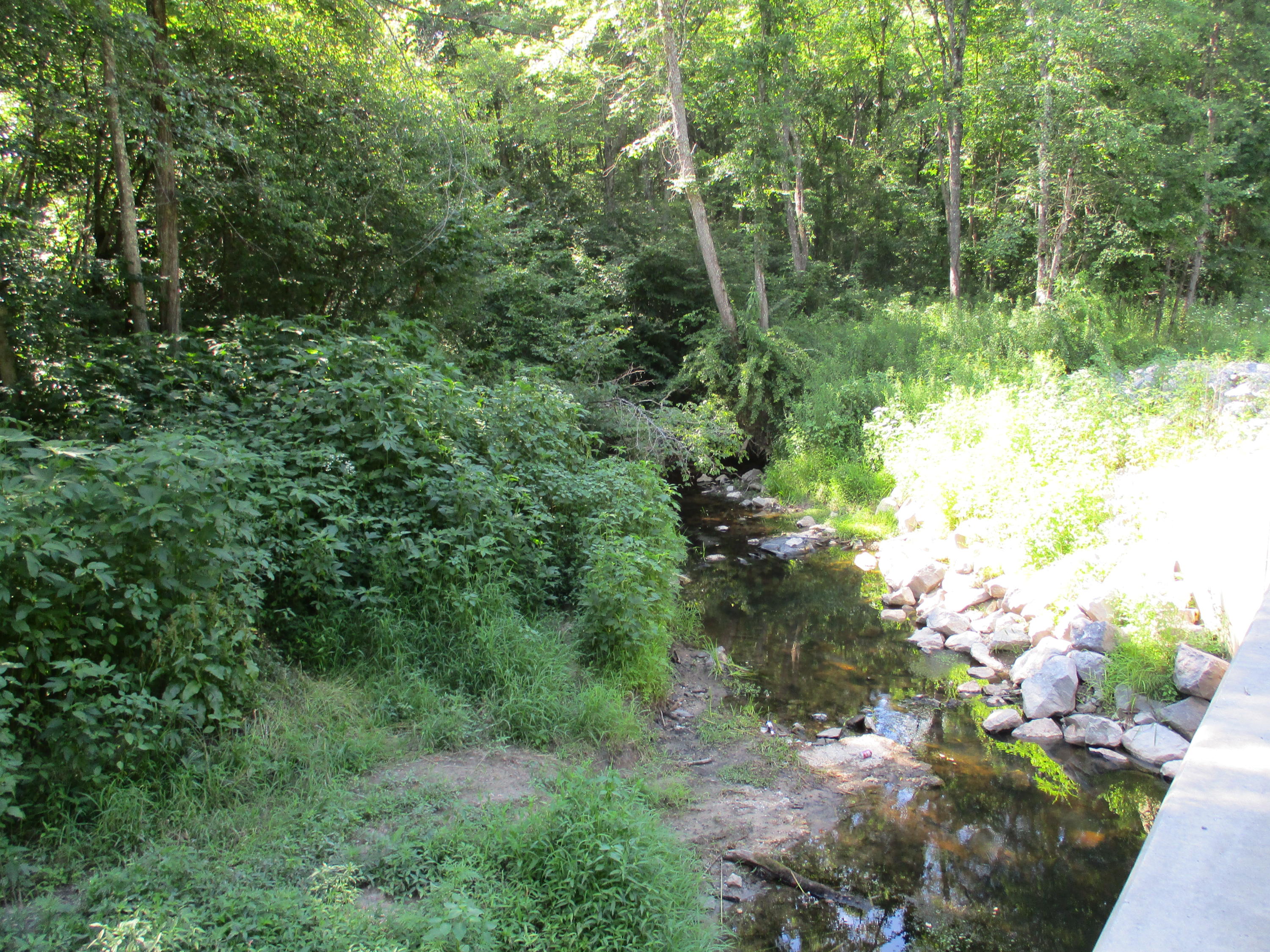 9 Cedar Road, Unit 20 Pikeville, TN 37367 - Photo 9 of 18 IMG_0341