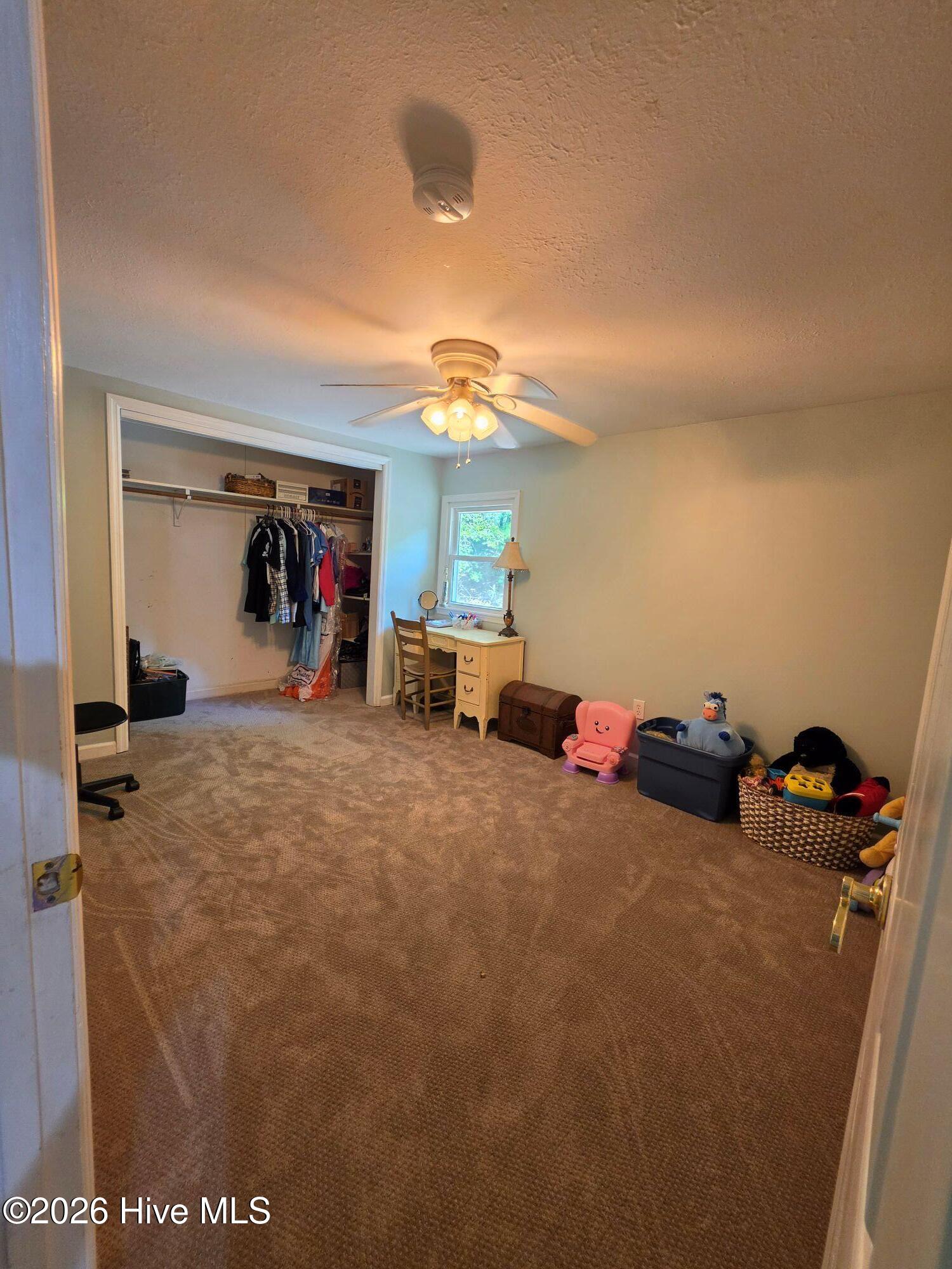 480 Mt Pleasant Road Ridge Spring, SC 29129 - Photo 6 of 29 bed3