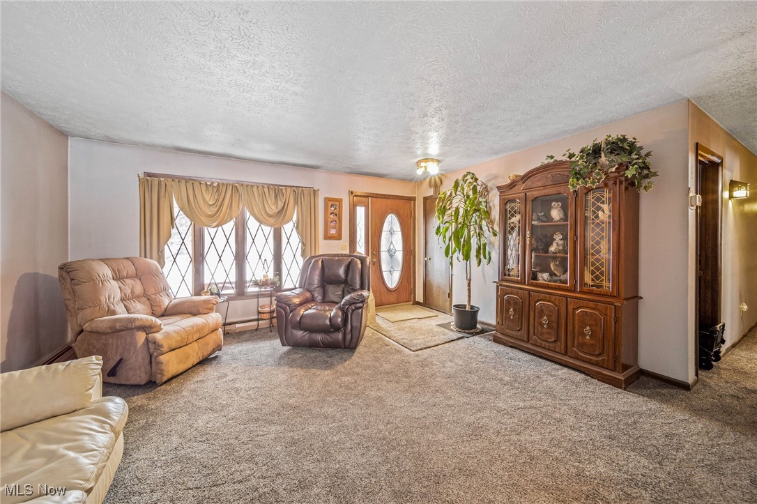 12430 Butternut Road Chardon, OH 44024 - Photo 3 of 33 Living room with a textured ceiling and carpet
