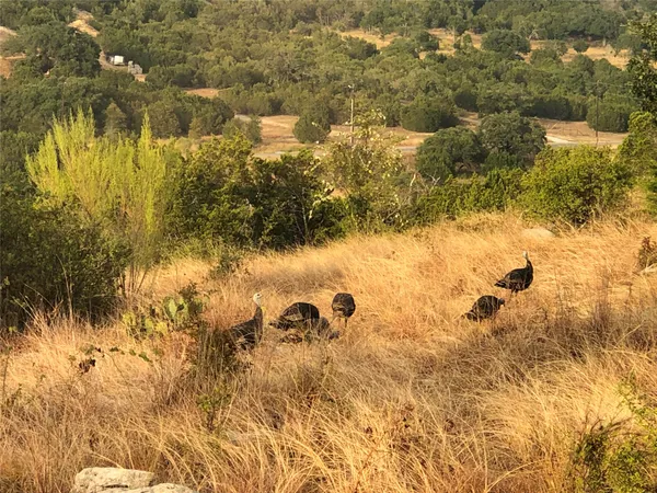 $549,000 | 769 Three Creeks Drive, Bertram, TX 78605