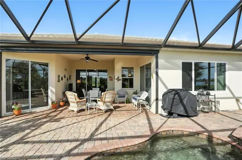 a view of a backyard with plants and palm trees