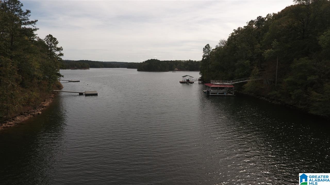 779 County Road 897 Wedowee, AL 36278 - Photo 32 of 37