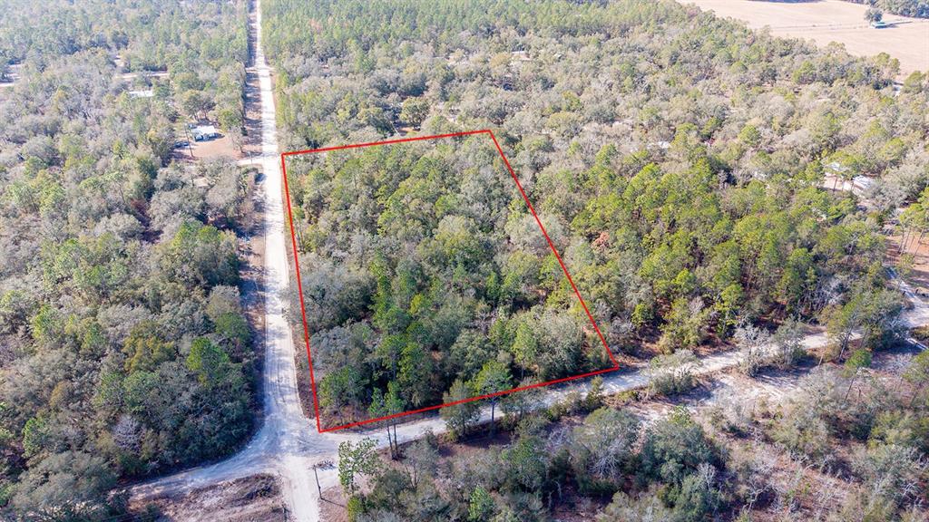 65 Northwest 10th Avenue Bell, FL 32619 - Photo 2 of 8