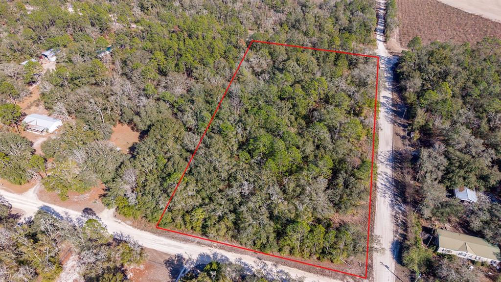 65 Northwest 10th Avenue Bell, FL 32619 - Photo 5 of 8