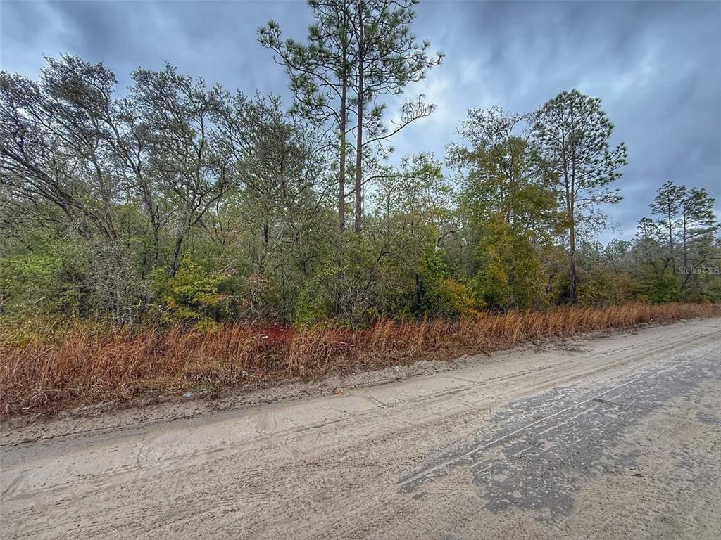 65 Northwest 10th Avenue Bell, FL 32619 - Photo 6 of 8