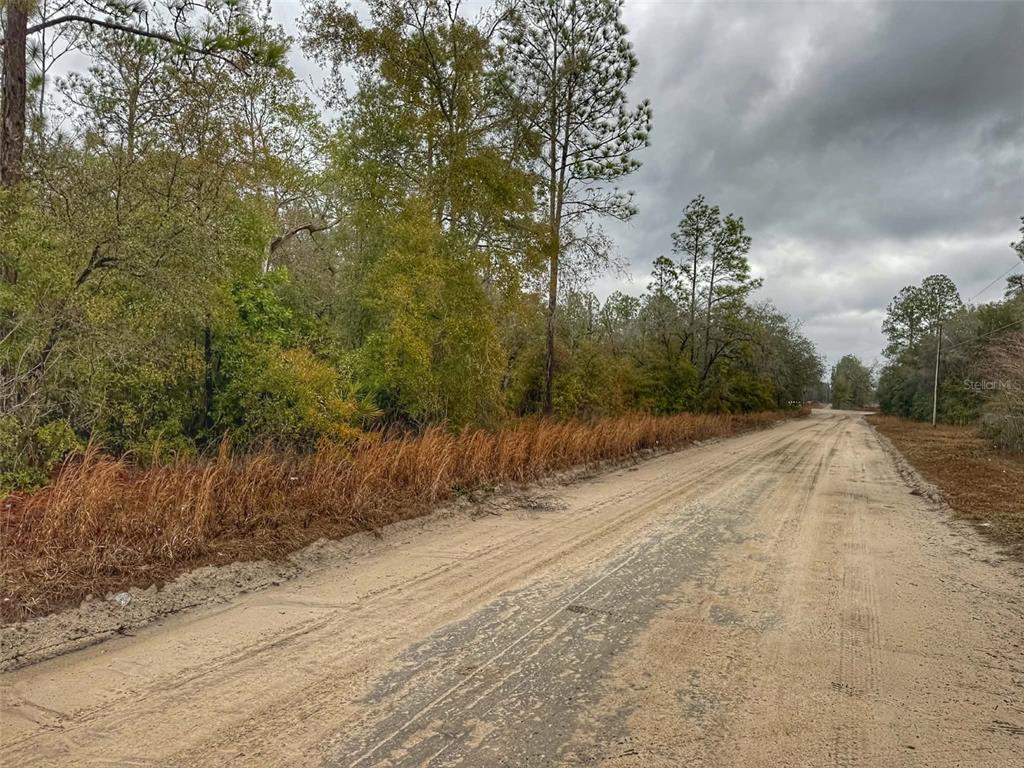 65 Northwest 10th Avenue Bell, FL 32619 - Photo 7 of 8