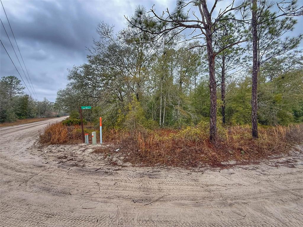 65 Northwest 10th Avenue Bell, FL 32619 - Photo 8 of 8