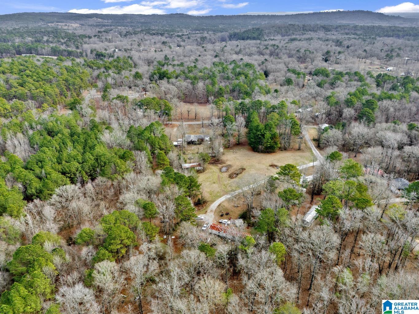 1383 Camp Branch Road, Unit 1 Alabaster, AL 35007 - Photo 19 of 20