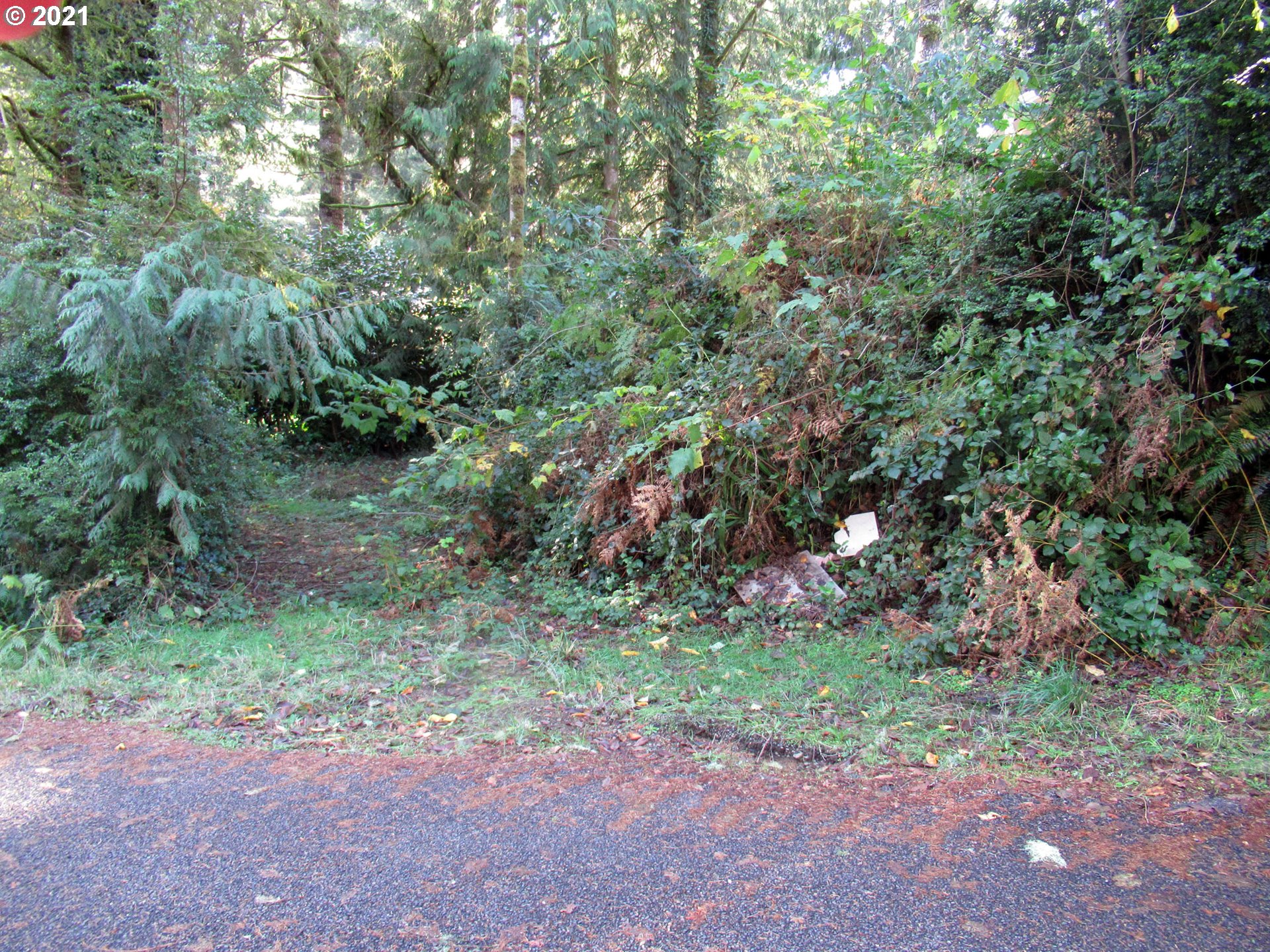 5640 Buck Lake Road Florence, OR 97439 - Photo 23 of 25 Gallery Image 23