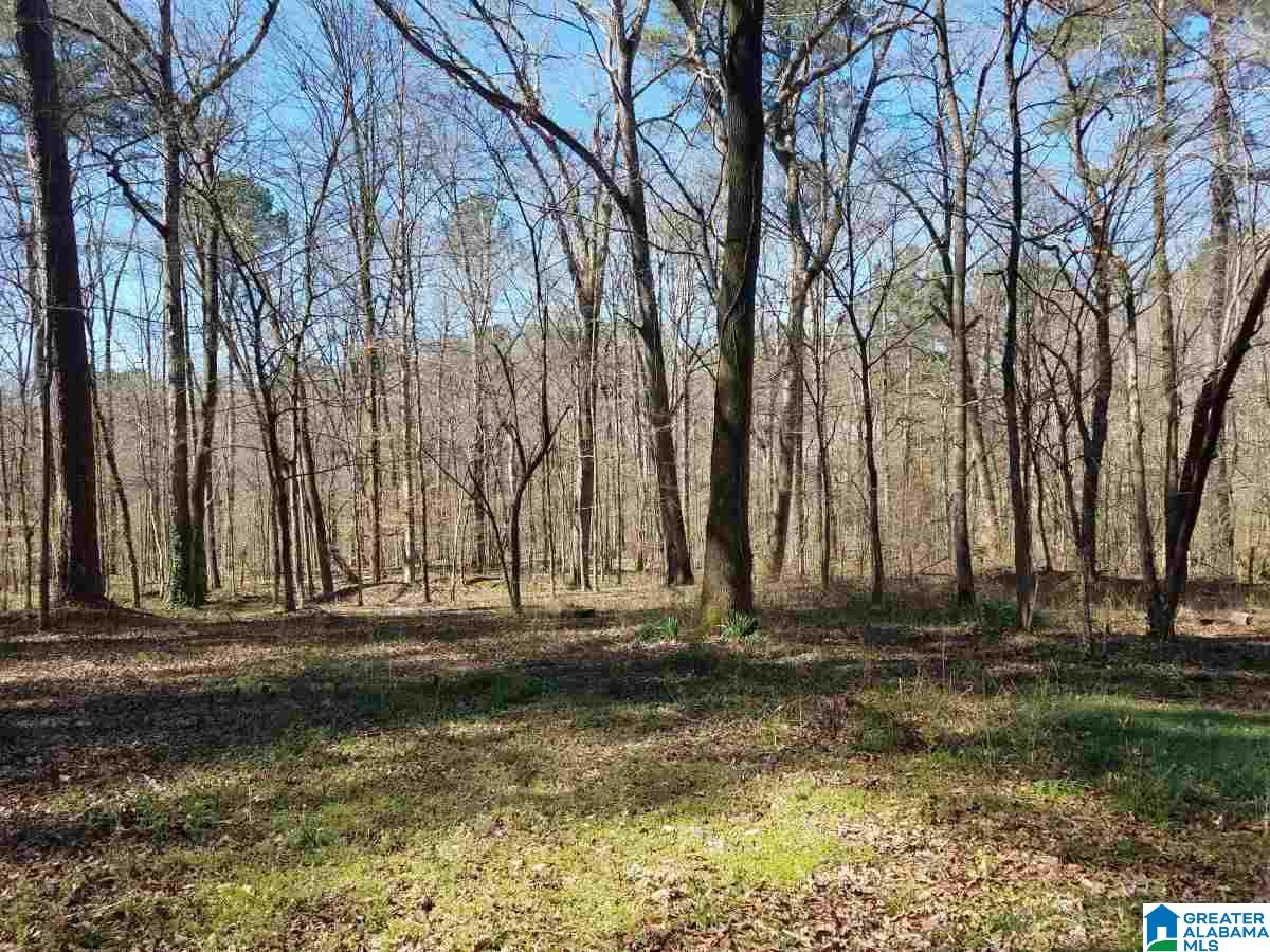4258 Vfw Road, Unit 6 Pinson, AL 35126 - Photo 2 of 6