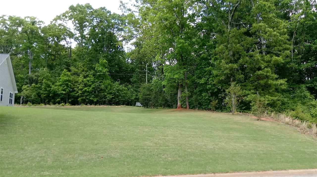 529 Cricket Ridge Court Duncan, SC 29334 - Photo 30 of 34