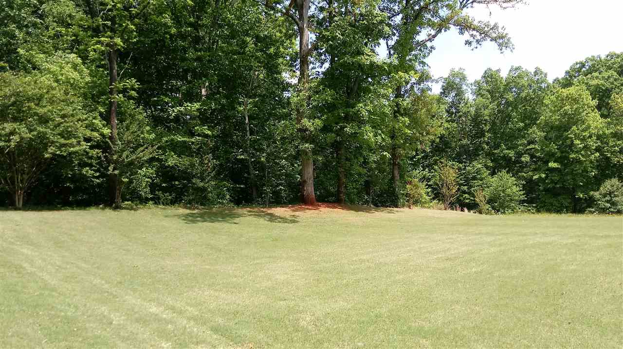 529 Cricket Ridge Court Duncan, SC 29334 - Photo 31 of 34