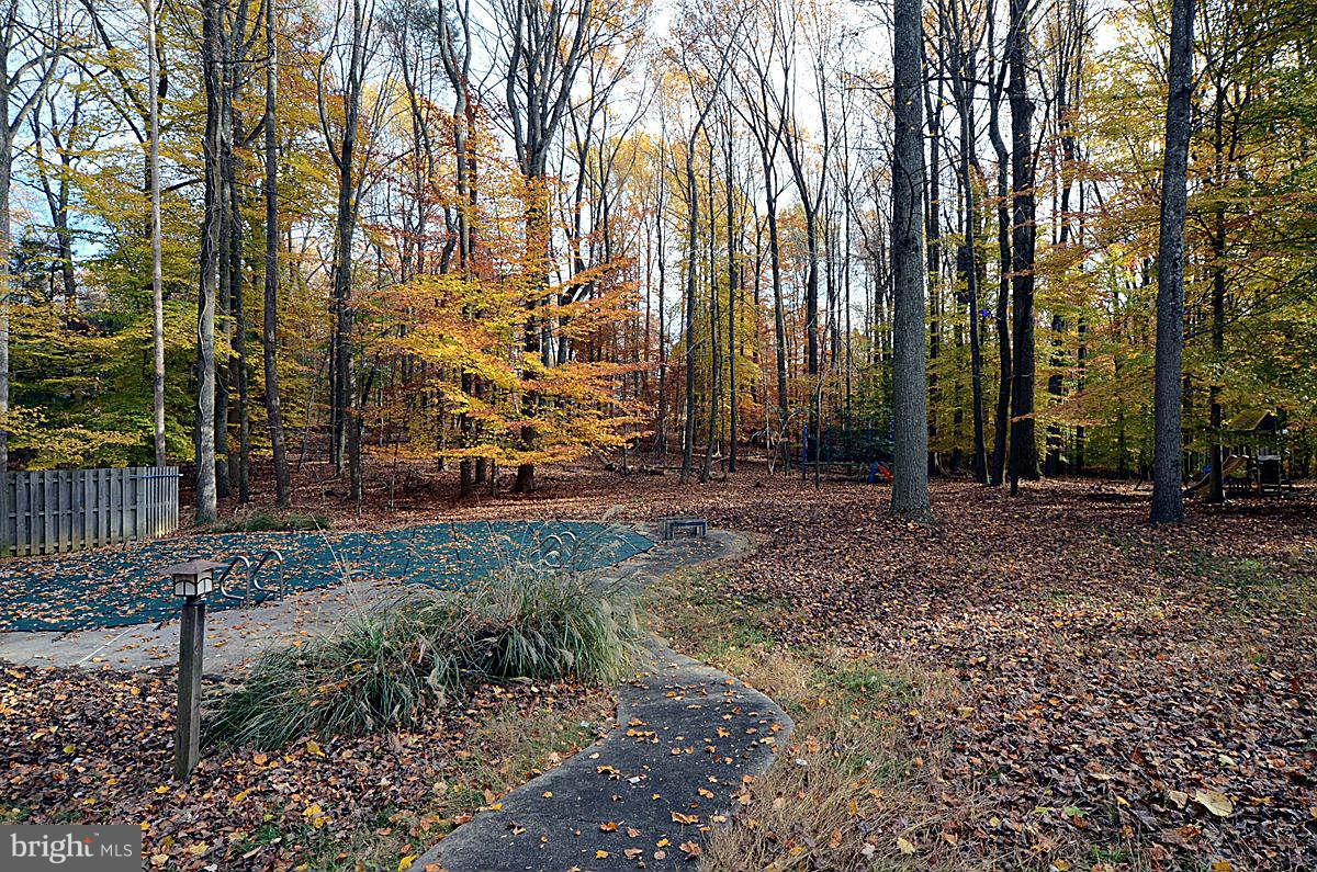 10112 Lloyd Road Potomac, MD 20854 - Photo 27 of 30 Exterior (Rear)