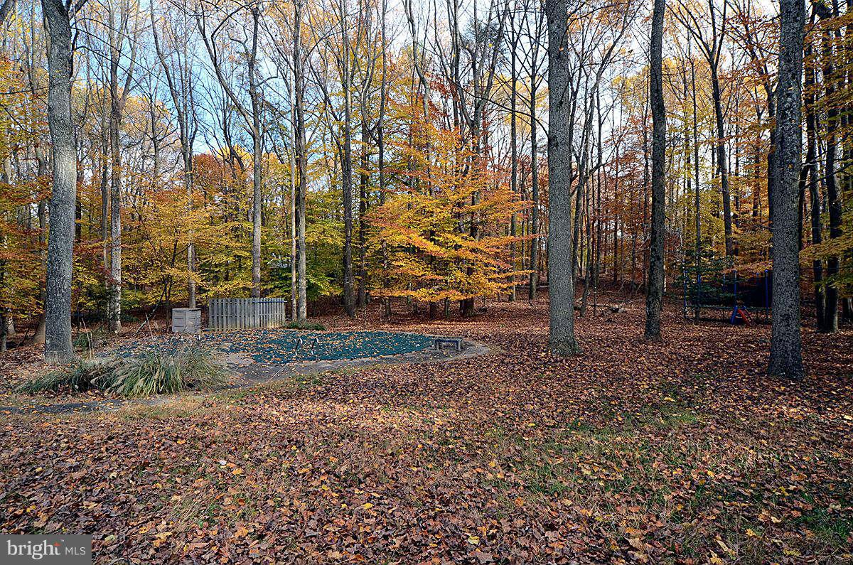 10112 Lloyd Road Potomac, MD 20854 - Photo 28 of 30 Exterior (Rear)