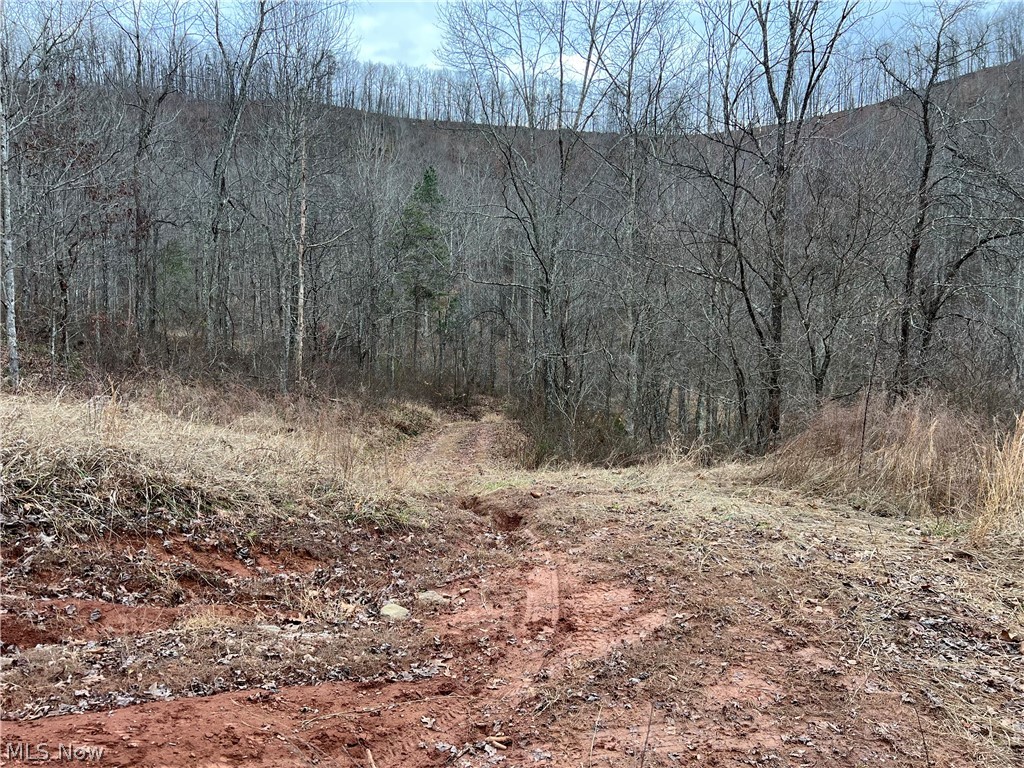 1101 Orchard Run Road Spencer, WV 25276 - Photo 23 of 31 Gallery Image 23