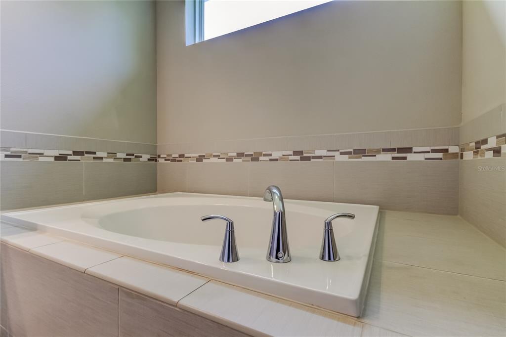 11855 Ranchers Gap Drive Odessa, FL 33556 - Photo 28 of 75