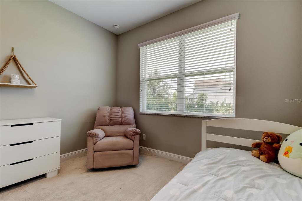 11855 Ranchers Gap Drive Odessa, FL 33556 - Photo 36 of 75