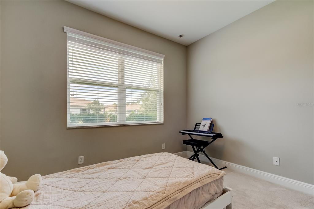 11855 Ranchers Gap Drive Odessa, FL 33556 - Photo 37 of 75