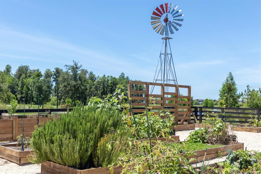 11855 Ranchers Gap Drive Odessa, FL 33556 - Photo 51 of 75