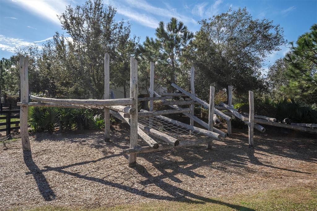 11855 Ranchers Gap Drive Odessa, FL 33556 - Photo 57 of 75