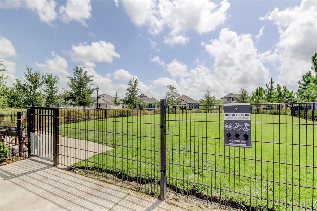 11855 Ranchers Gap Drive Odessa, FL 33556 - Photo 75 of 75