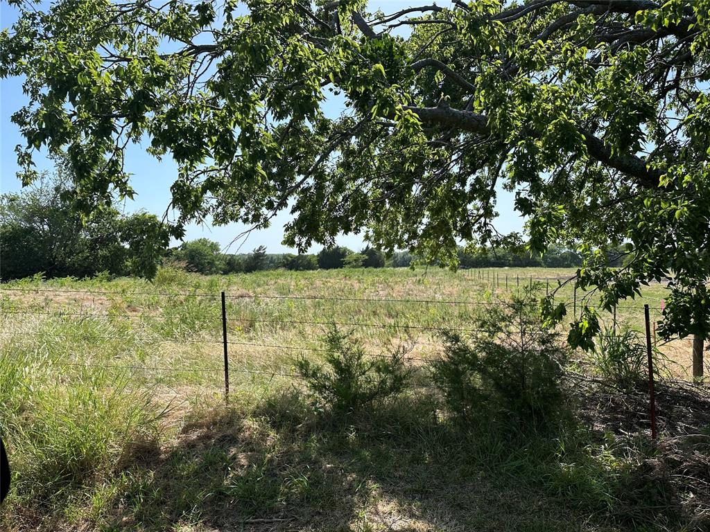 Lot 4 Cedar Road Sherman, TX 75090 - Photo 12 of 24 a backyard of a house with lots of plants and tree
