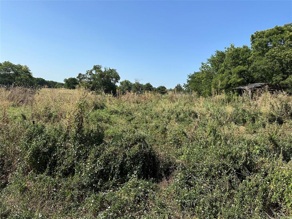 Lot 4 Cedar Road Sherman, TX 75090 - Photo 2 of 24 a view of a yard