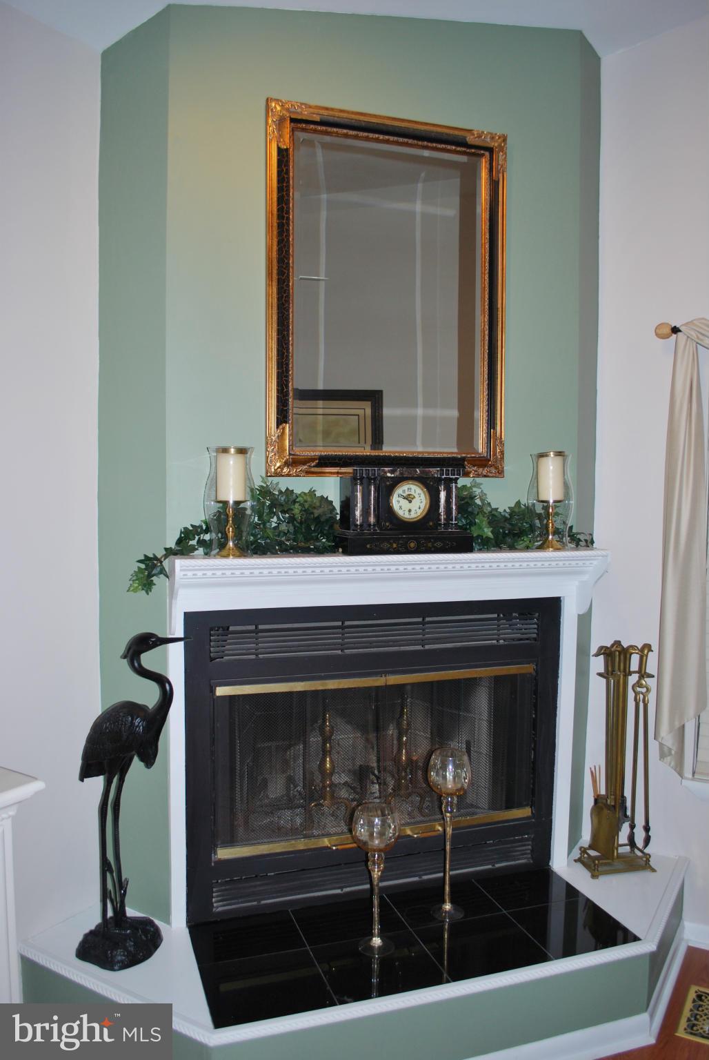 Fireplace in Family Room