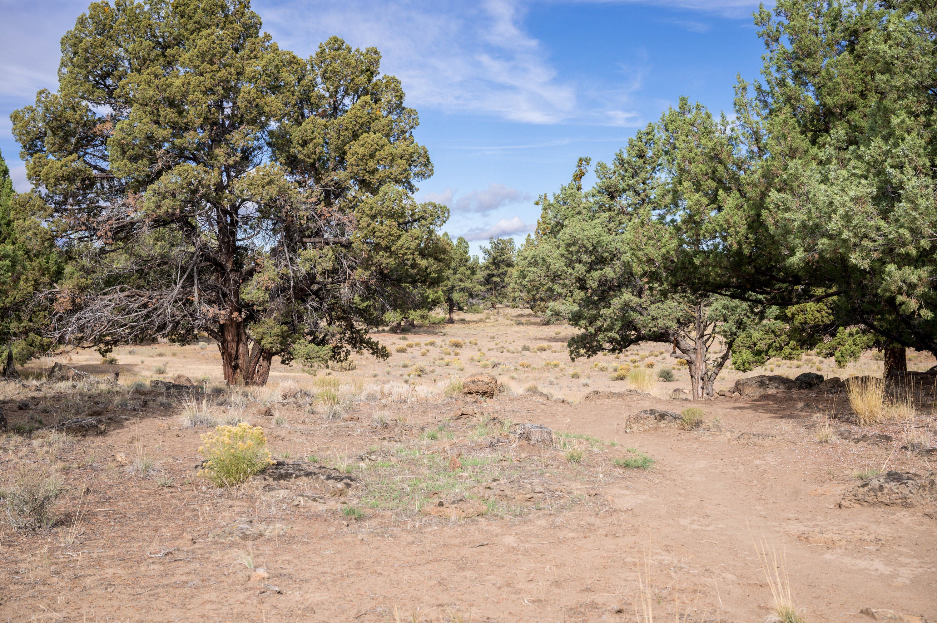 61575 Gosney Road Bend, OR 97702 - Photo 25 of 28 Z62_3169-HDR