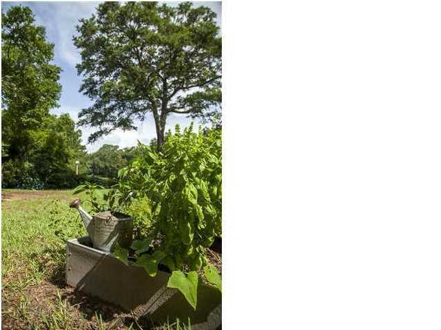 729 Knotty Pine Road Charleston, SC 29412 - Photo 22 of 22 Additional Photo