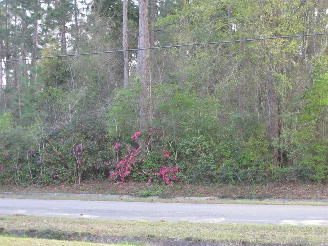 120 San Carlos Road Cantonment, FL 32533 - Photo 49 of 50