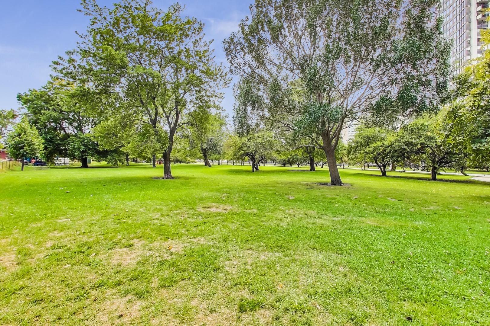 5733 North Sheridan Road, Unit 23B Chicago, IL 60660 - Photo 32 of 33 a view of a trees with a park