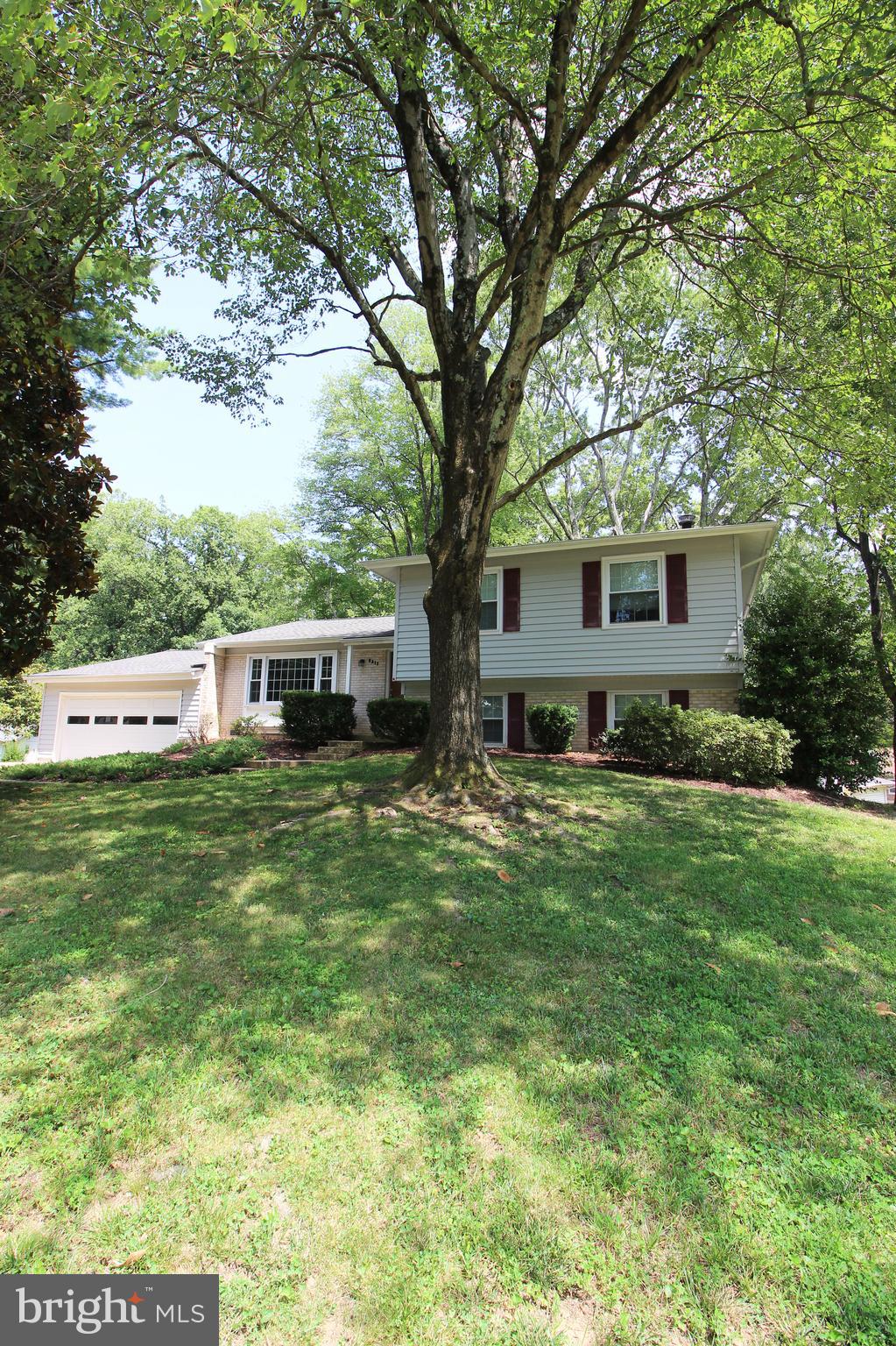 6211 Duntley Court Springfield, VA 22152 - Photo 1 of 53
