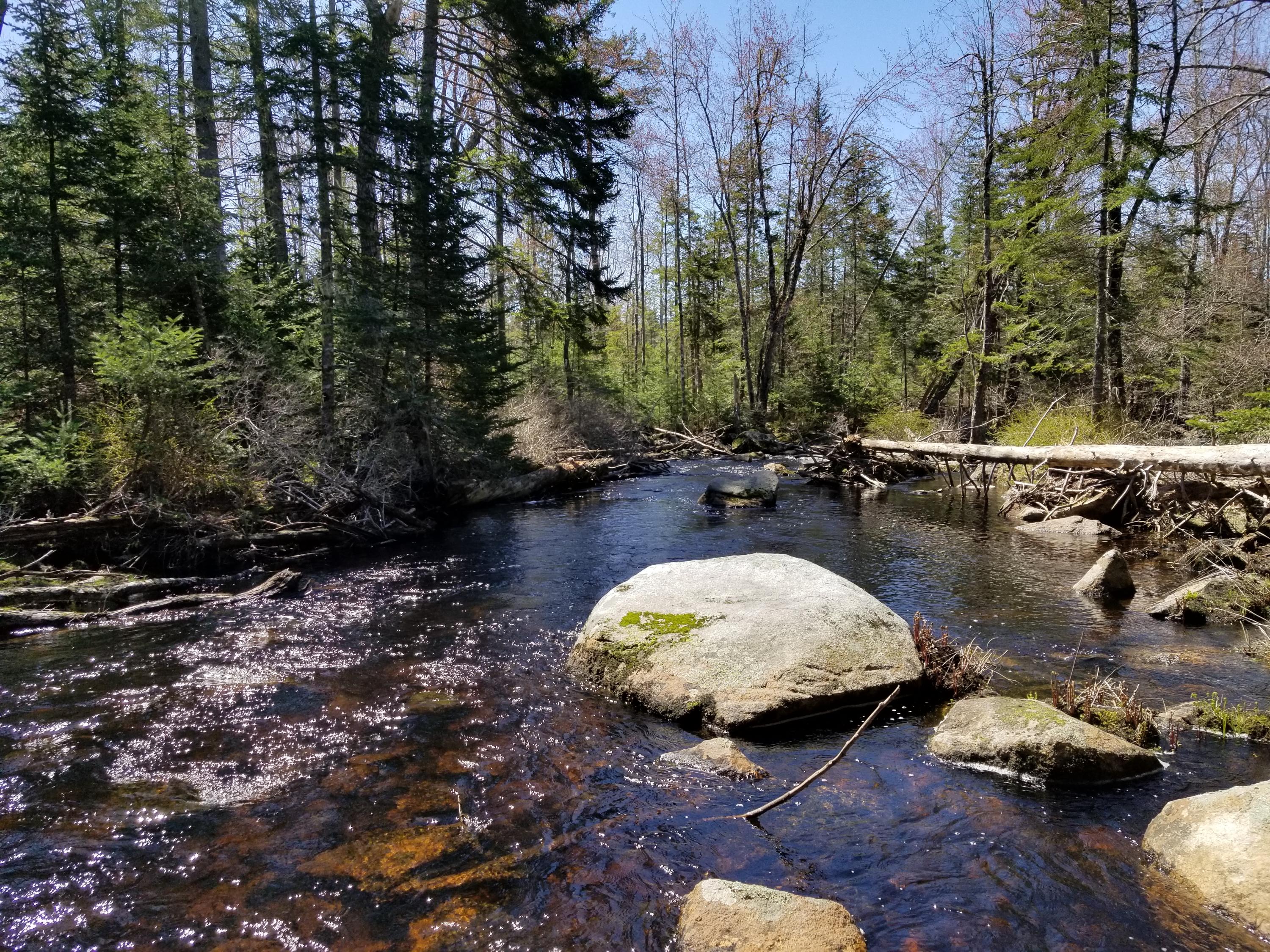 160 Southern Bay Road Penobscot, ME 04476 - Photo 7 of 62 7 Winslow Stream