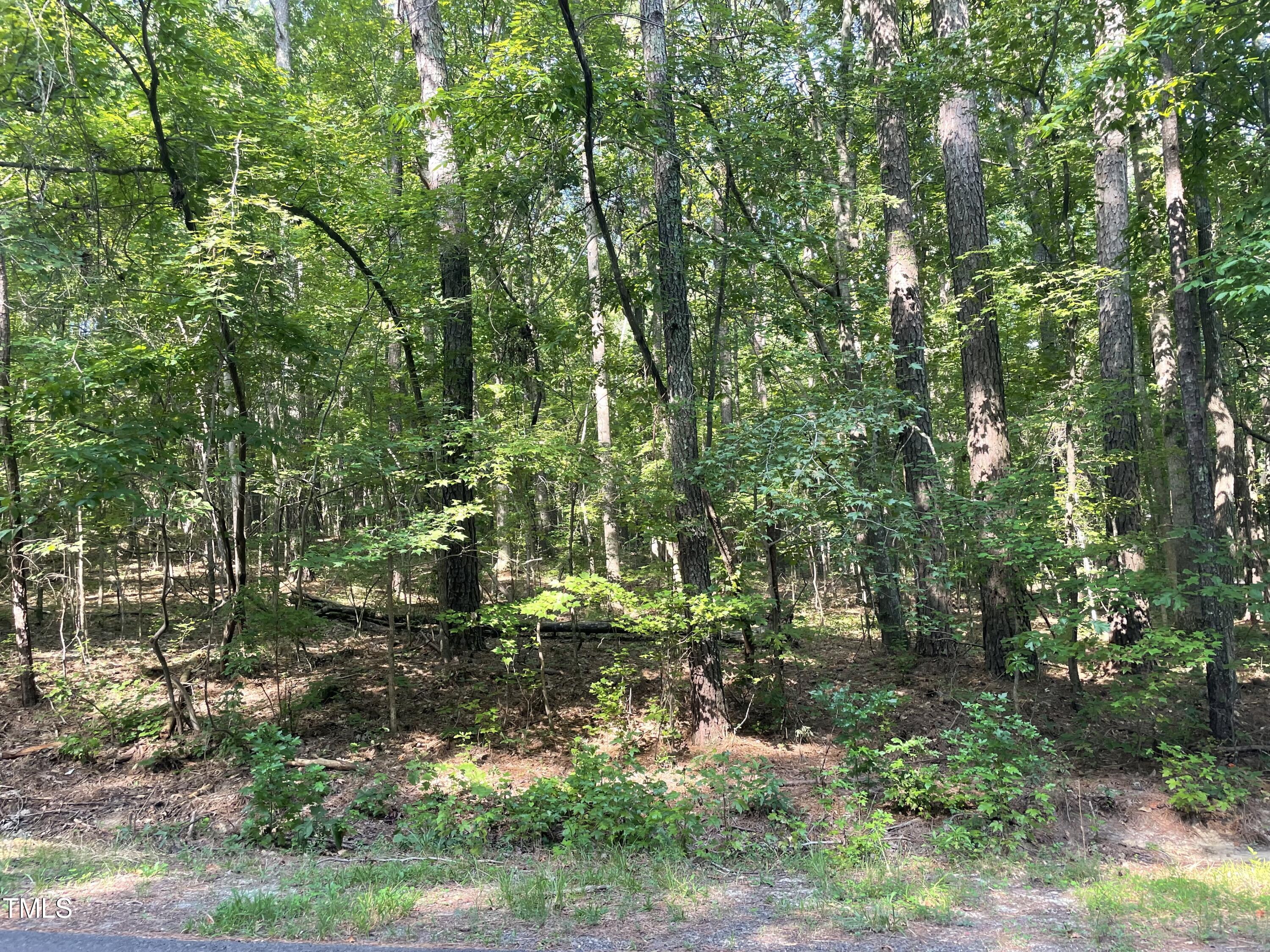 1444 Old Ivey Road Apex, NC 27523 - Photo 2 of 6 IMG_5180