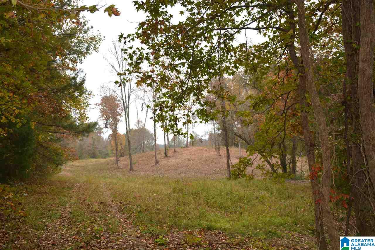0 Jackson Loop Road, Unit 1 Ragland, AL 35131 - Photo 22 of 27